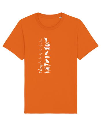 Nouă Vieți de Pisică Bright Orange