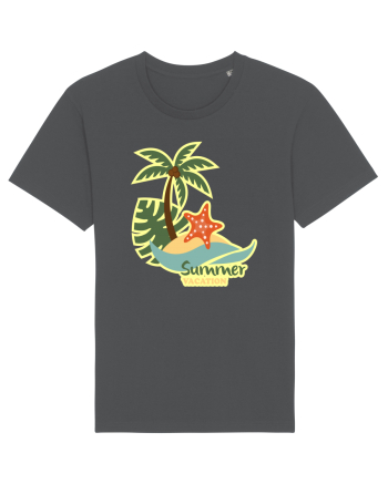 Summer Vacation Anthracite