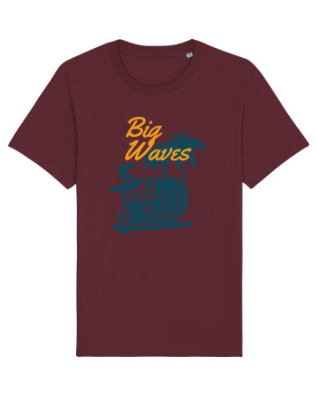 Big Waves Surfing Burgundy