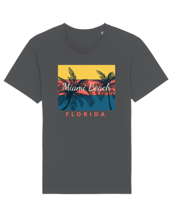 Miami Beach Florida Anthracite