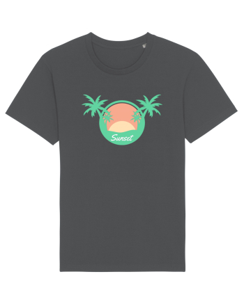 Sunset Palm Tree Beach Anthracite