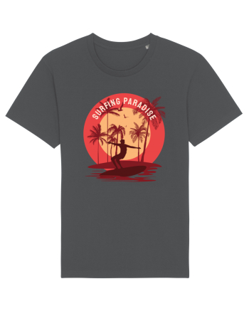 Surfing Paradise West Coast Anthracite