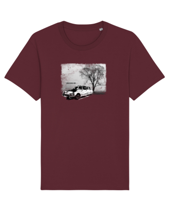 citroen Burgundy