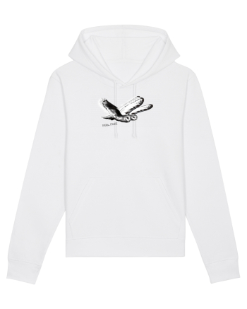 flying owls White