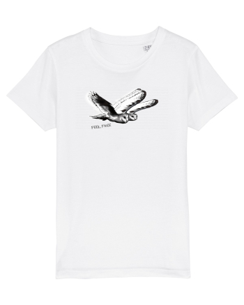 flying owls White