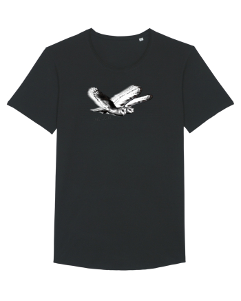 flying owls Black