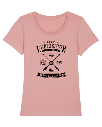 Explorator de Comori la Târgul de Vechituri Canyon Pink