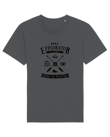 Explorator de Comori la Târgul de Vechituri Anthracite