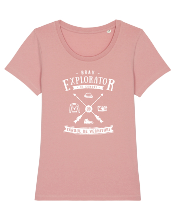 Explorator de Comori la Târgul de Vechituri Canyon Pink