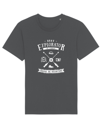 Explorator de Comori la Târgul de Vechituri Anthracite
