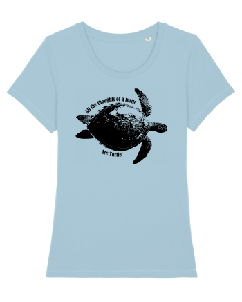 Turtle Talk  Sky Blue