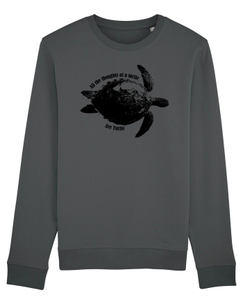 Turtle Talk  Anthracite