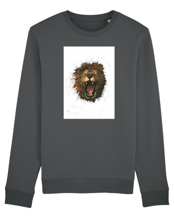 Furious lion Anthracite