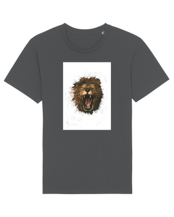 Furious lion Anthracite