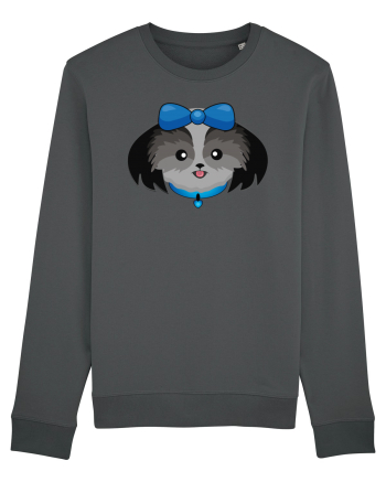 Cute dog  Anthracite