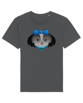 Cute dog  Anthracite