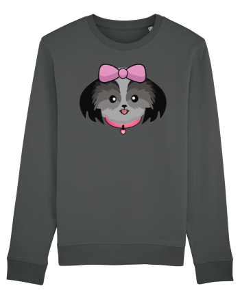 Cute dog  Anthracite