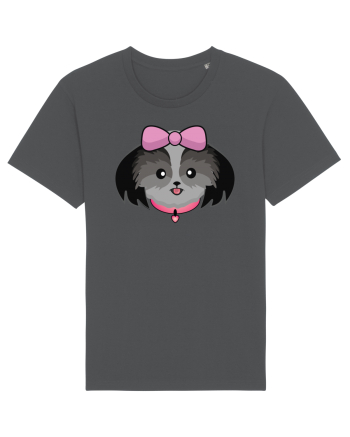 Cute dog  Anthracite