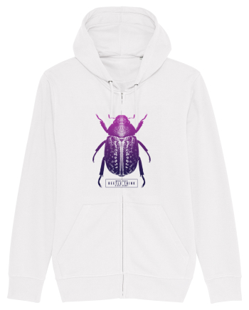 What does beetle think right now? White