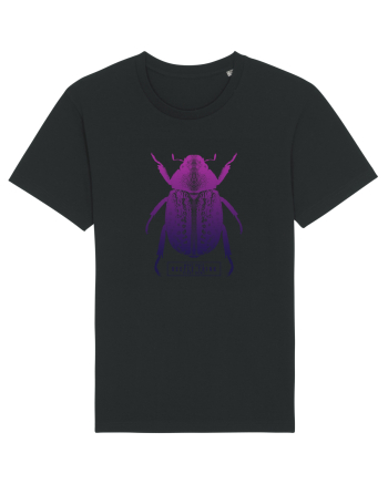 What does beetle think right now? Black