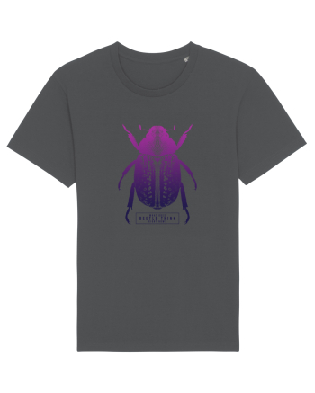 What does beetle think right now? Anthracite
