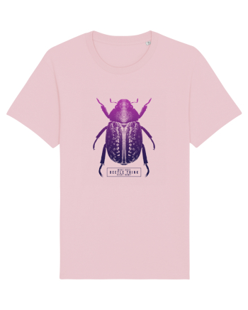 What does beetle think right now? Cotton Pink
