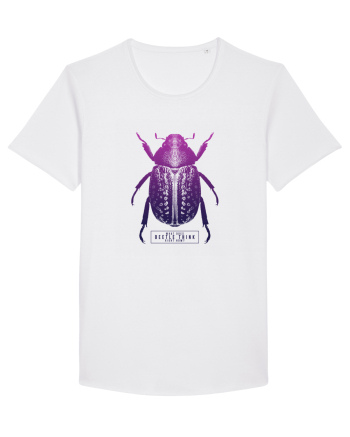 What does beetle think right now? White