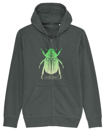 What does beetle think right now? Anthracite