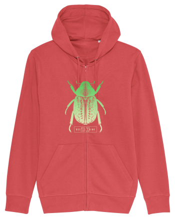 What does beetle think right now? Carmine Red