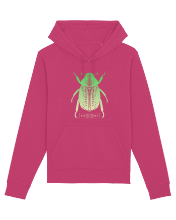 What does beetle think right now? Raspberry