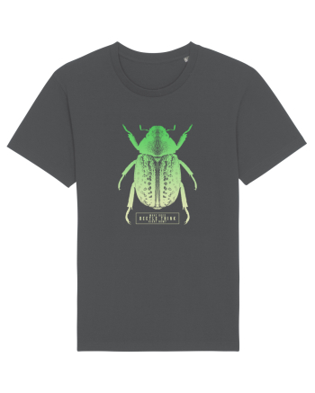What does beetle think right now? Anthracite