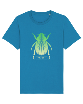 What does beetle think right now? Azur