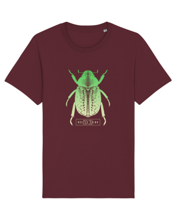 What does beetle think right now? Burgundy