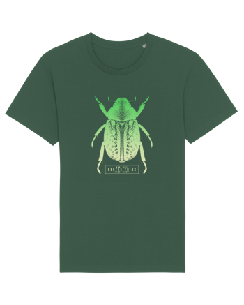 What does beetle think right now? Bottle Green