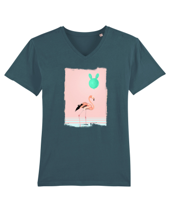 Flamingo Roz și Balonul Cactus  Stargazer