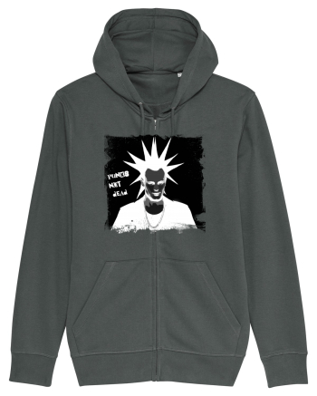 punks not dead Anthracite