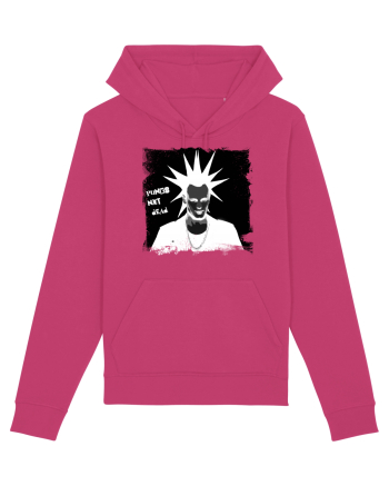 punks not dead Raspberry