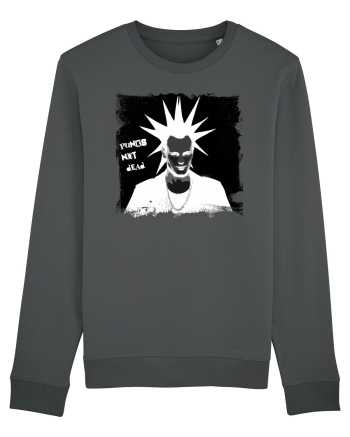 punks not dead Anthracite