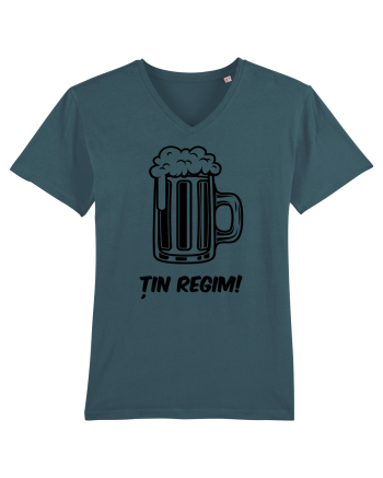 Tin regim Stargazer