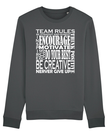 Team Rules Anthracite