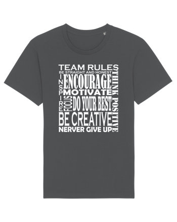 Team Rules Anthracite