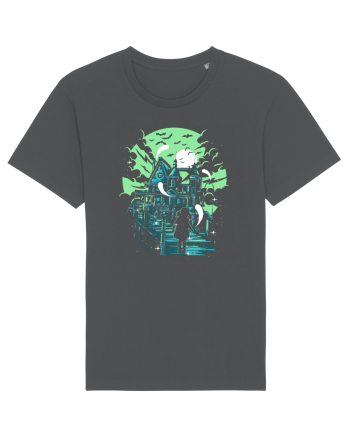 Haunted House Anthracite