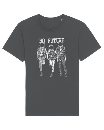 No Future Anthracite