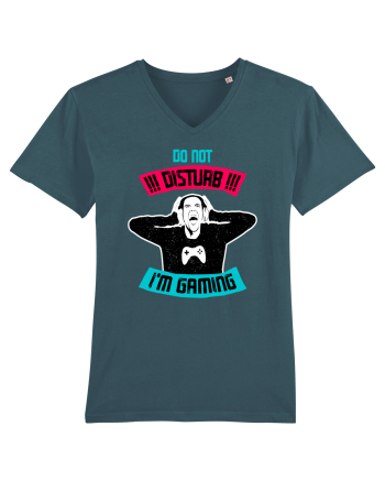 Do Not Disturb, I'm Gaming Stargazer