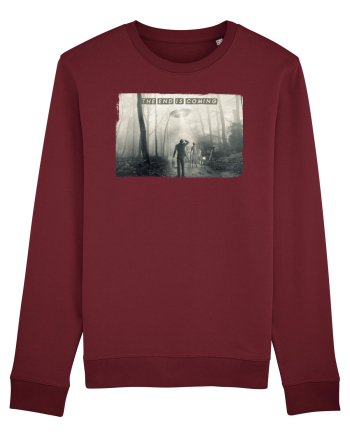 alien abduction Burgundy