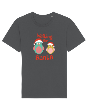 Waiting for Santa Anthracite
