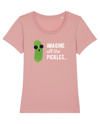 IMAGINE All The Pickels - Parodie Canyon Pink