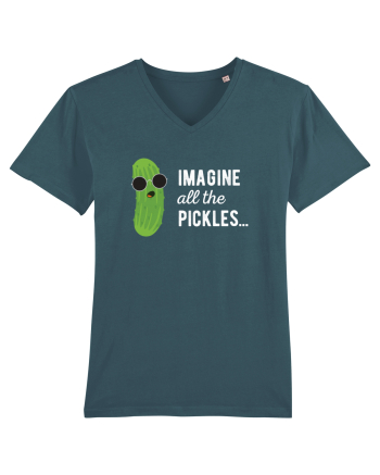 IMAGINE All The Pickels - Parodie Stargazer