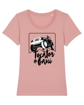 Tocator de bani Canyon Pink