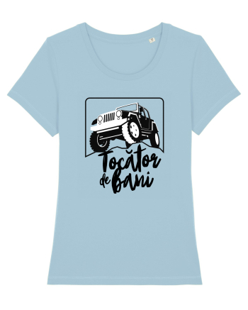 Tocator de bani Sky Blue